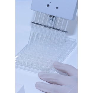 Winner Supplied Image - SICGEN Investigação e Desenvolvimento em Biotecnologia Lda