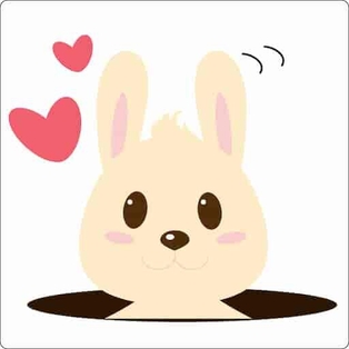 Winner Supplied Image - The Travel Bunny