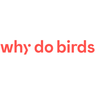 Winner Supplied Image - Why Do Birds Gmbh