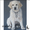 Catherina’s Fine Art & Pet Portraits - Winner Small Image