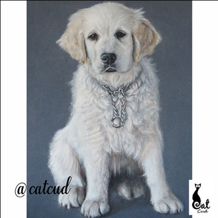 Winner Supplied Image - Catherina's Fine Art & Pet Portraits