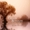 Crann Bethadh Holistic Therapies - Winner Small Image