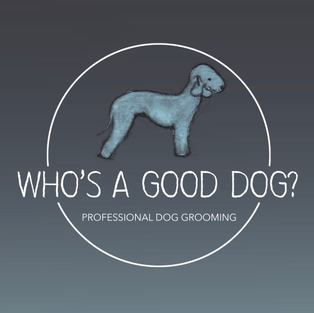 Winner Supplied Image - Who's A Good Dog
