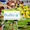 Biabiz Ltd - Winner Small Image