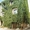 Bed & Breakfast Dei Papi - Winner Small Image
