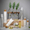 Acty - Winner Small Image