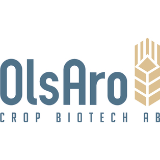 Winner Supplied Image - OlsAro