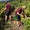 Wine XP - Winner Small Image
