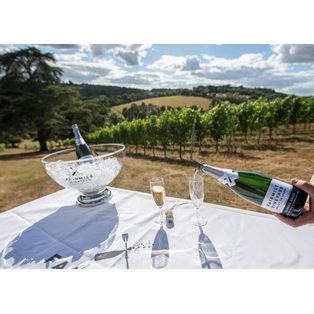 Winner Supplied Image - Fairmile Vineyard