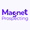 Magnet Prospecting - Winner Small Image