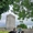 Castlefergus Riding Stables - Winner Small Image