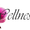 Wellness Spa - Winner Small Image