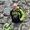 DEN Grona Guiden by VerdeVerde Travel - Winner Small Image