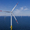 Vårgrønn AS - Winner Small Image