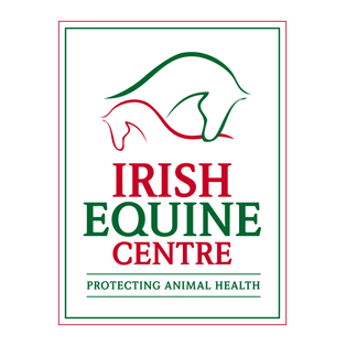 Winner Supplied Image - Irish Equine Centre