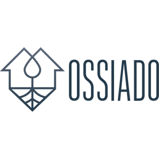 Winner Supplied Image - Ossiado