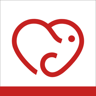 Winner Supplied Image - Stichting Improve