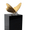 Atelier-Davinci - Winner Small Image