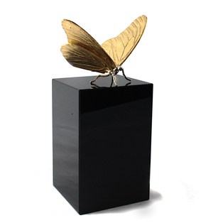 Winner Supplied Image - Atelier-Davinci