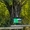 CAPPS Climate Parks Priv.Found. - Winner Small Image