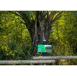 Winner Supplied Image - CAPPS Climate Parks Priv.Found.