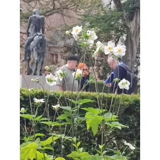 Winner Supplied Image - Geniuswalkingtours