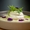 Mood4Food - Winner Small Image