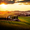 Tuscany photo tours - Winner Small Image