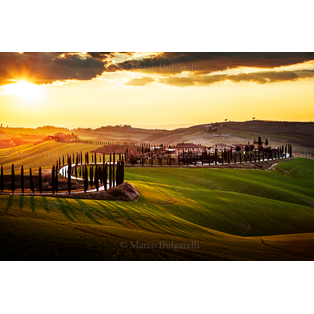 Winner Supplied Image - Tuscany photo tours