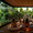 LivinGlobe | Exponent 3 GmbH - Winner Small Image