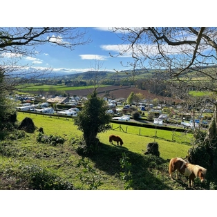 Winner Supplied Image - Parkers Farm Holiday Park