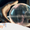 QDXray BV - Winner Small Image