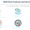 Particle Summary - Winner Small Image