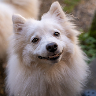 Winner Supplied Image - Just For Pets