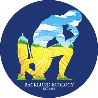 Winner Supplied Image - Backlund Aps