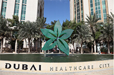 Post Thumbnail - UAE to Lead Healthcare Sector